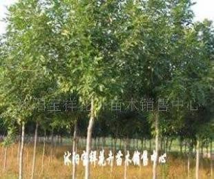 供應(yīng)電線電纜填充用高檔麻線_紡織、皮革_世界工廠網(wǎng)中國產(chǎn)品信息庫